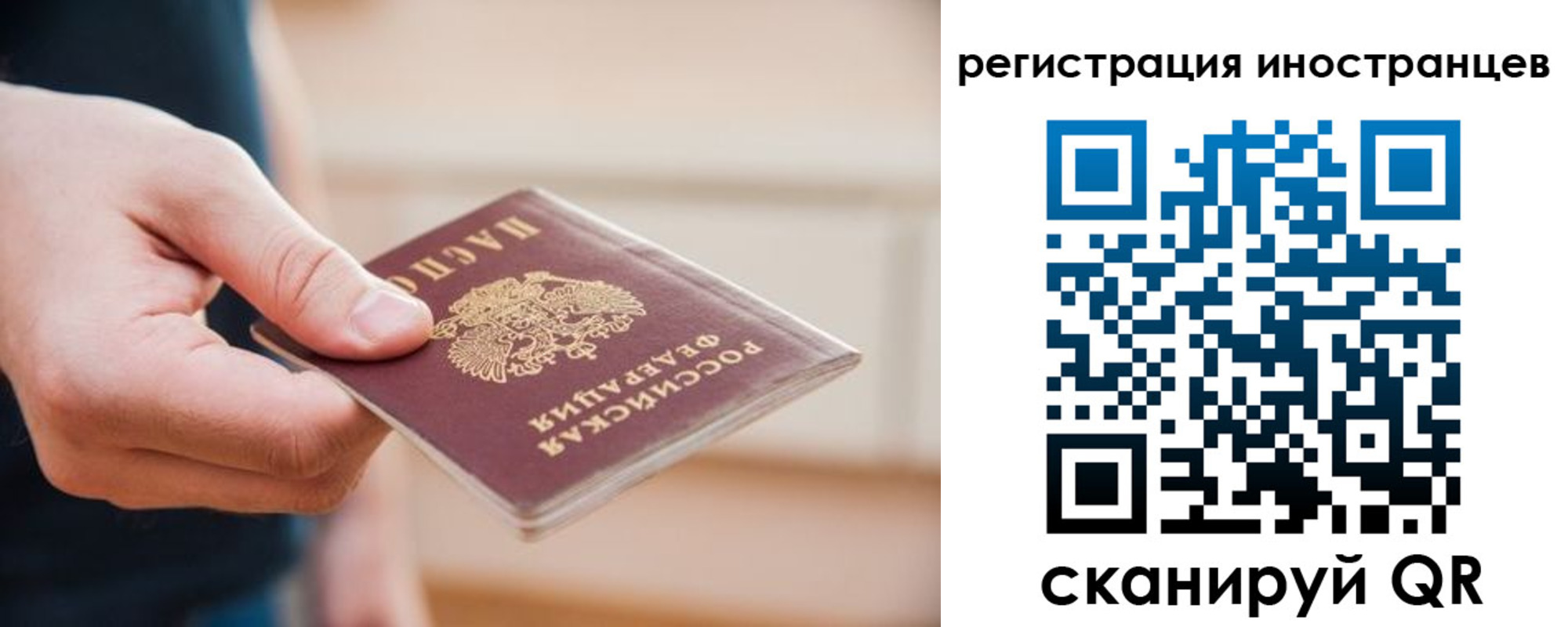 прописка гарантия в Мурманской области