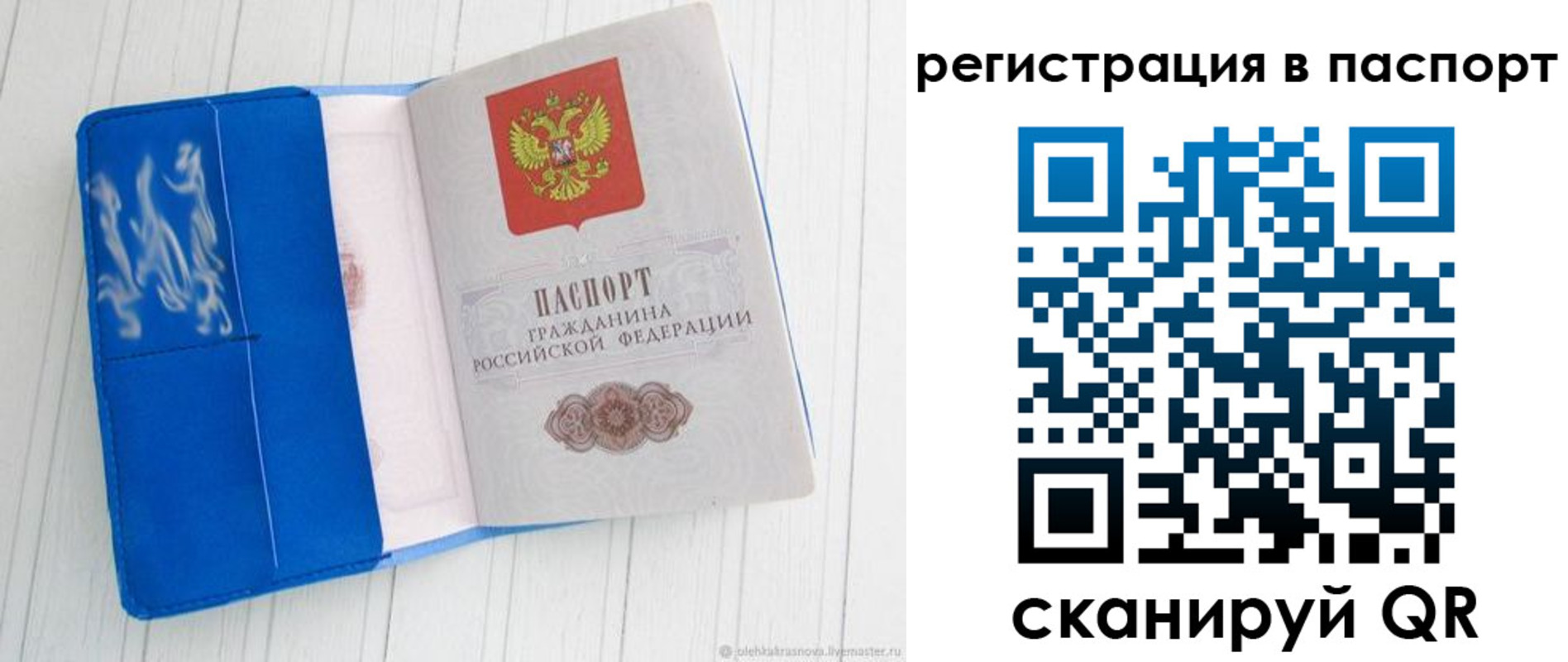 регистрация для школы в Мурманской области